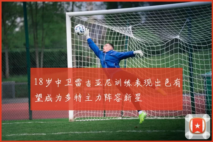 18岁中卫雷吉亚尼训练表现出色有望成为多特主力阵容新星