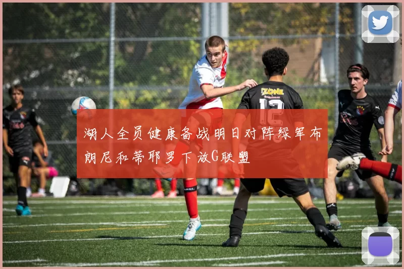 湖人全员健康备战明日对阵绿军布朗尼和蒂耶罗下放G联盟